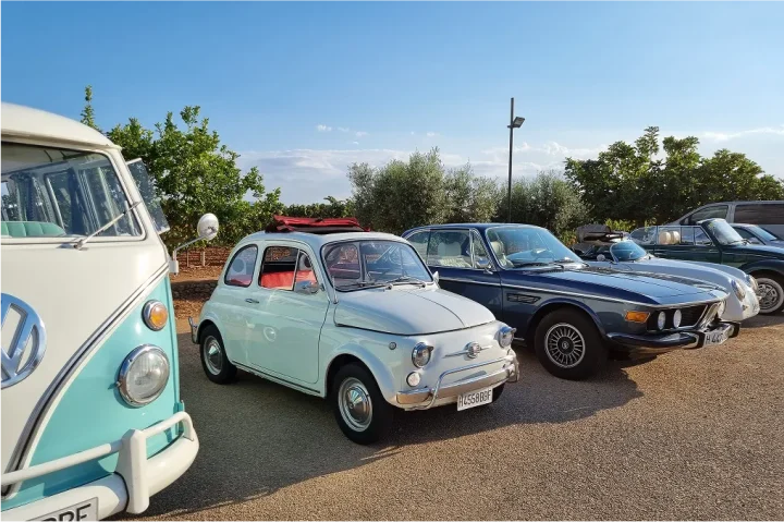 Vintage cars including a classic Volkswagen van, Fiat 500 and luxury vehicles lined up in Mallorca, representing premium transfers and warm welcomes organized by Balearic Elements, a local Destination Management Company for the Balearic Islands. The DMC team provides car, coach and minibus transfers to ensure a stylish and comfortable arrival experience.